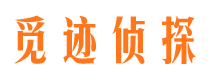 大埔外遇出轨调查取证